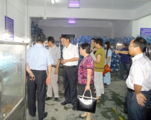 �ڲ�����Ϸ������(�й�)רҵ����,����Ϊ��