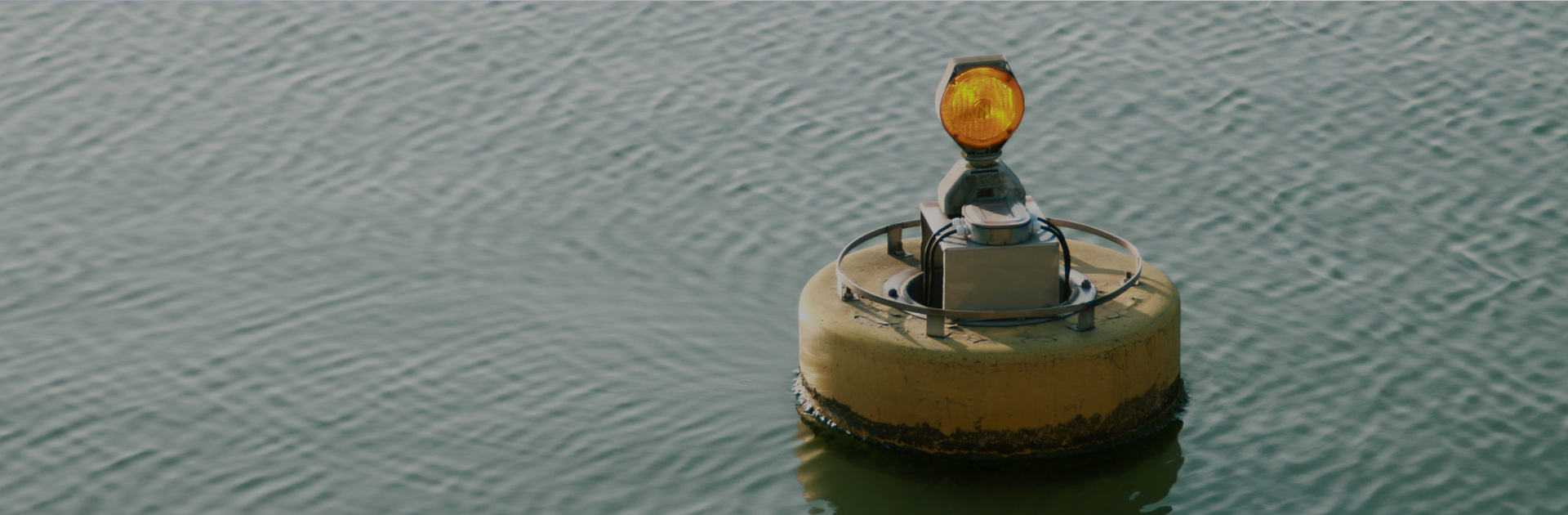 �ڲ�����Ϸ������(�й�)רҵ����,����Ϊ��