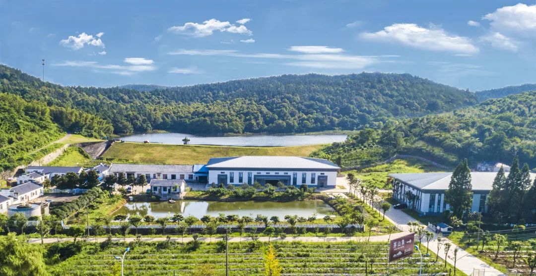 �ڲ�����Ϸ������(�й�)רҵ����,����Ϊ��