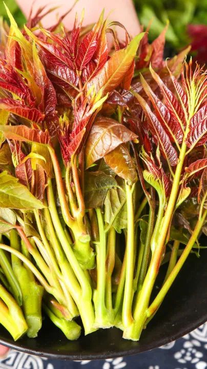 �ڲ�����Ϸ������(�й�)רҵ����,����Ϊ��